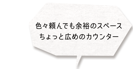 広めのカウンター