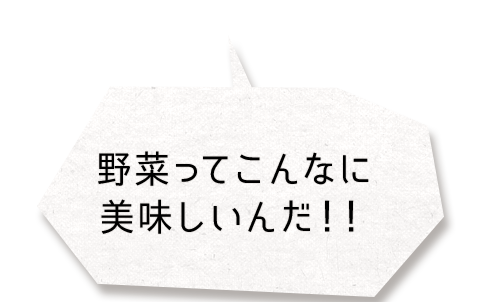 野菜ってこんなに