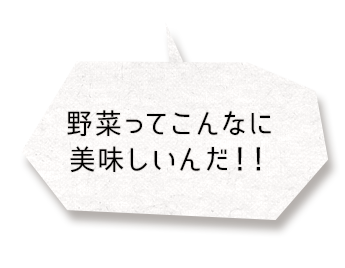 野菜ってこんなに