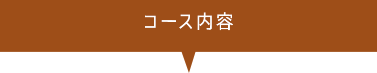 コース内容